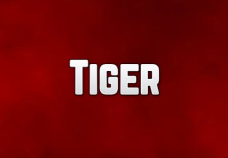 Tiger Casino